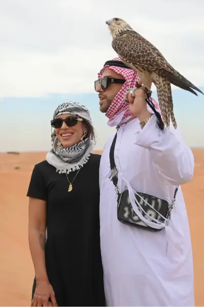 Falcon Photo